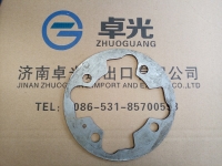 Пластина запирающая