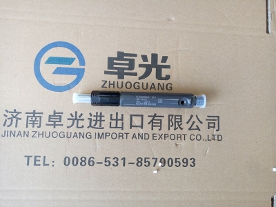 Форсунка 612600080324