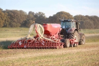 Maschio Gaspardo Corona