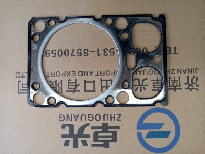 Прокладка головки 61500040049