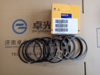 Кольца поршневые двигатель TD226B6G