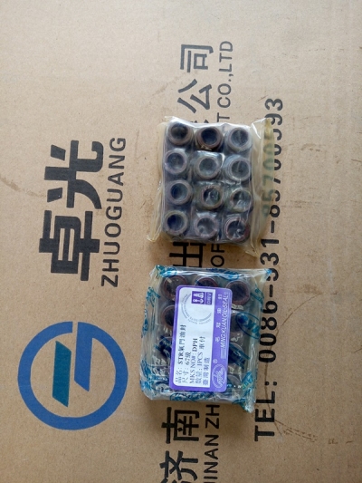 Сальник клапана (61500040039)